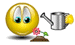 smilie120